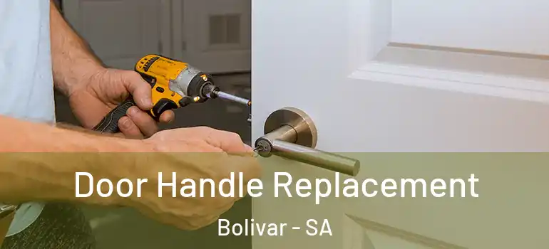 Door Handle Replacement Bolivar - SA