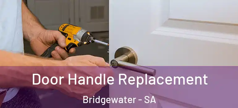Door Handle Replacement Bridgewater - SA