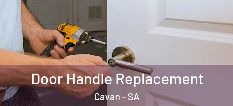 Door Handle Replacement Cavan - SA