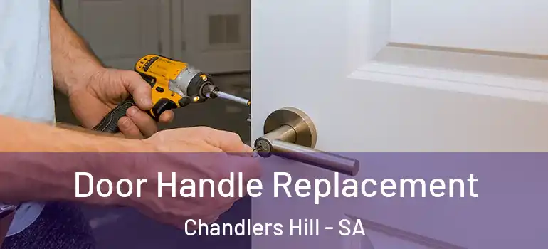 Door Handle Replacement Chandlers Hill - SA