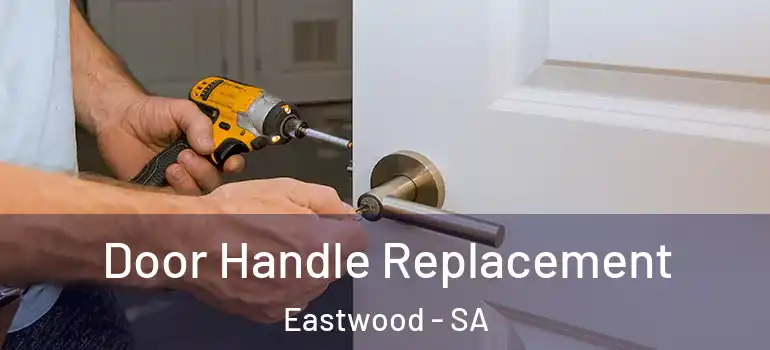  Door Handle Replacement Eastwood - SA