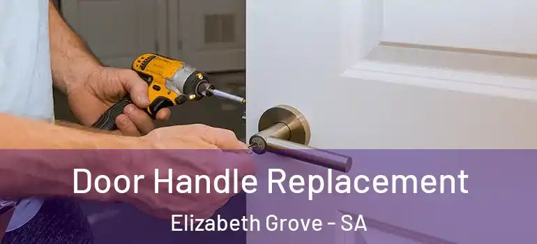 Door Handle Replacement Elizabeth Grove - SA
