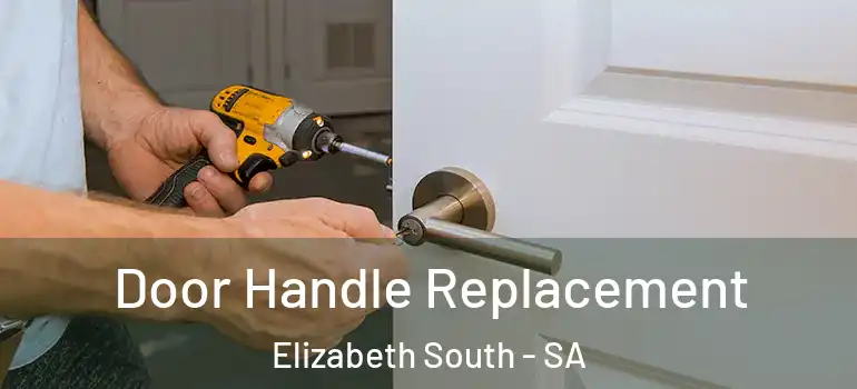 Door Handle Replacement Elizabeth South - SA