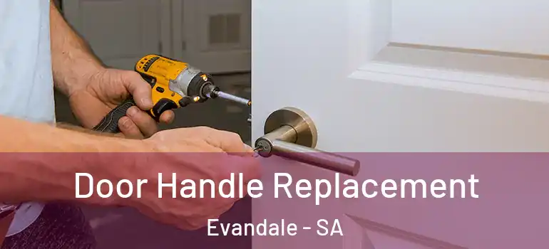 Door Handle Replacement Evandale - SA