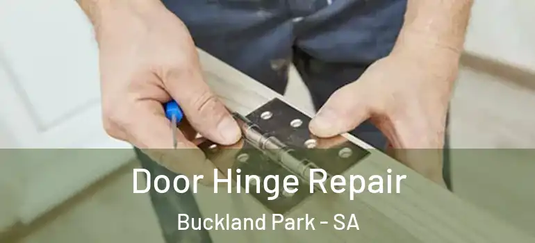  Door Hinge Repair Buckland Park - SA