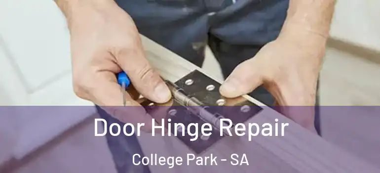  Door Hinge Repair College Park - SA