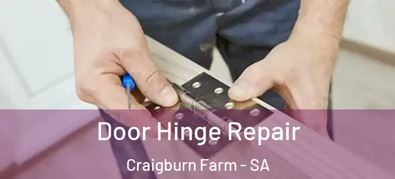  Door Hinge Repair Craigburn Farm - SA