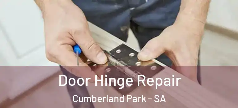 Door Hinge Repair Cumberland Park - SA