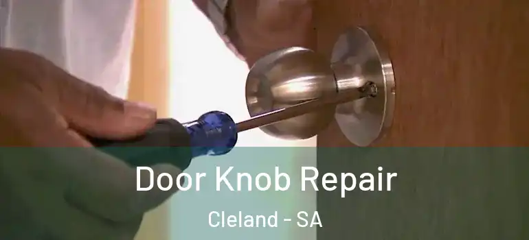  Door Knob Repair Cleland - SA