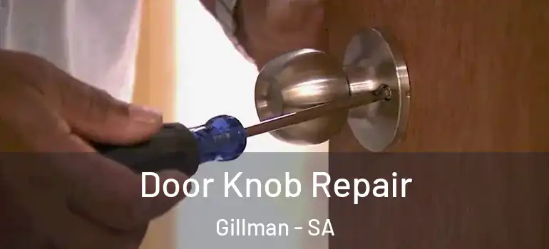 Door Knob Repair Gillman - SA
