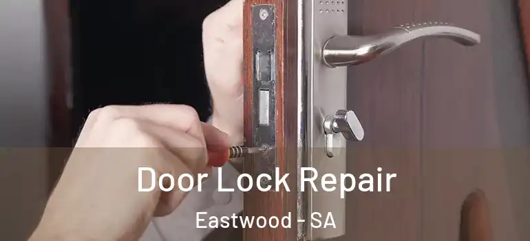 Door Lock Repair Eastwood - SA