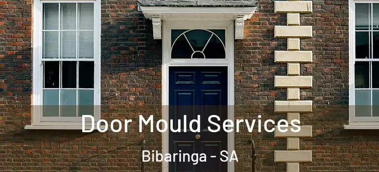  Door Mould Services Bibaringa - SA