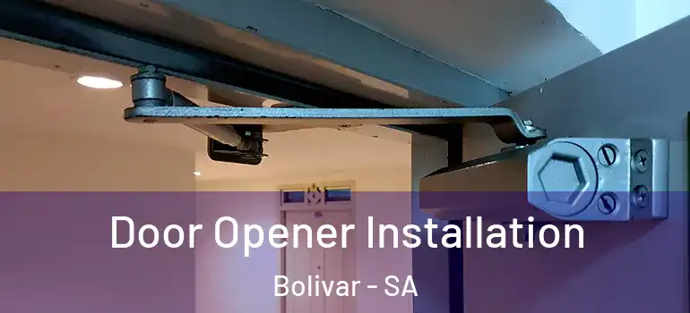Door Opener Installation Bolivar - SA