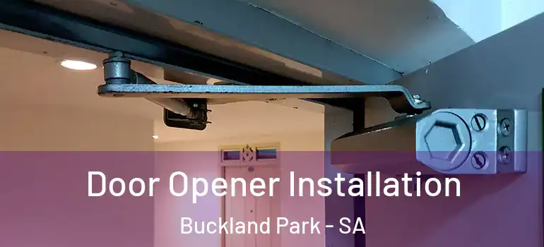 Door Opener Installation Buckland Park - SA