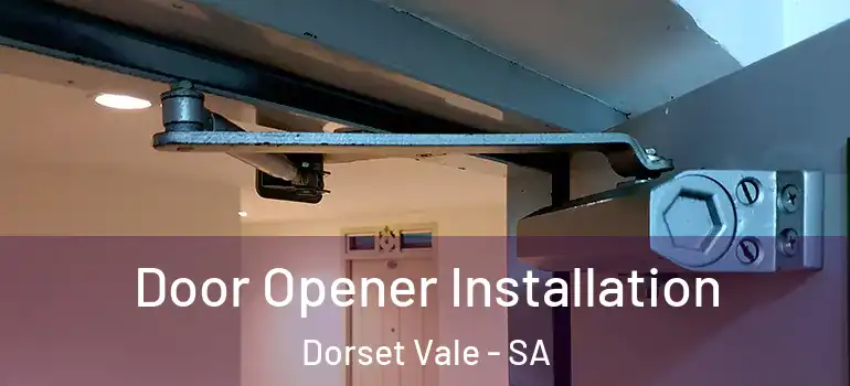  Door Opener Installation Dorset Vale - SA