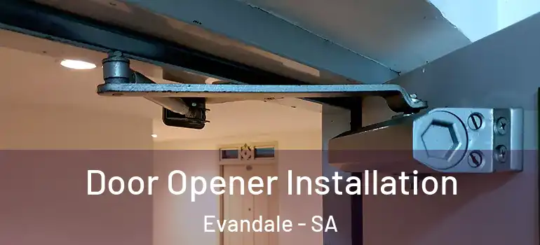 Door Opener Installation Evandale - SA