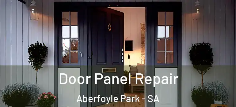 Door Panel Repair Aberfoyle Park - SA