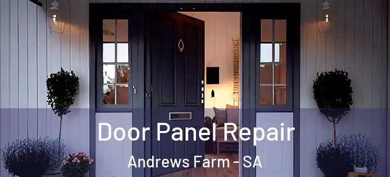  Door Panel Repair Andrews Farm - SA