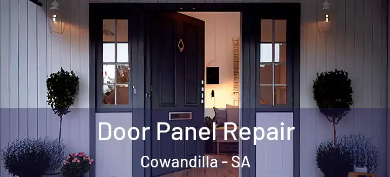 Door Panel Repair Cowandilla - SA
