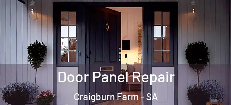 Door Panel Repair Craigburn Farm - SA