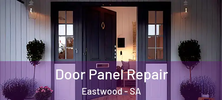 Door Panel Repair Eastwood - SA