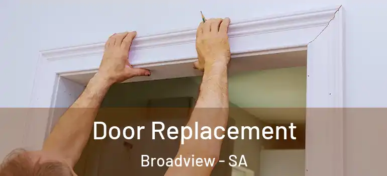  Door Replacement Broadview - SA