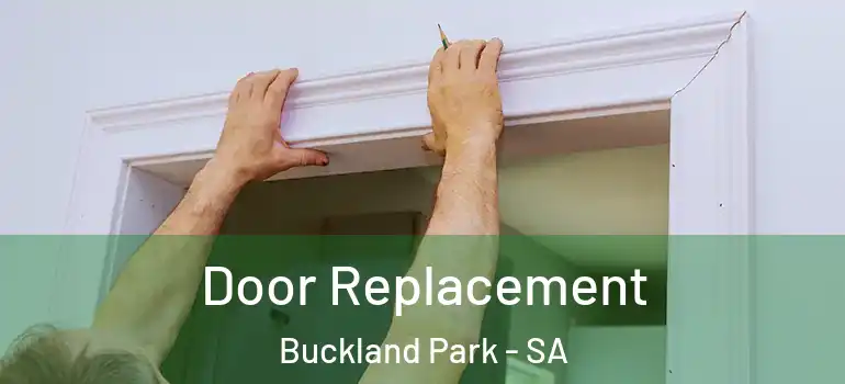  Door Replacement Buckland Park - SA