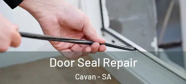Door Seal Repair Cavan - SA