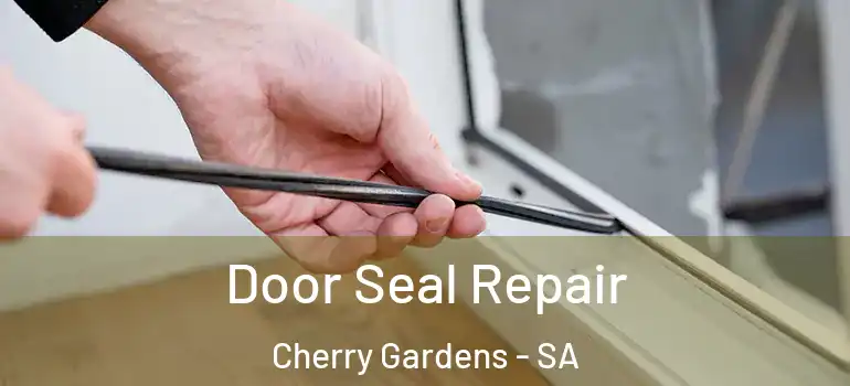  Door Seal Repair Cherry Gardens - SA