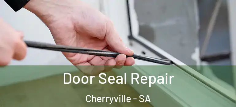 Door Seal Repair Cherryville - SA