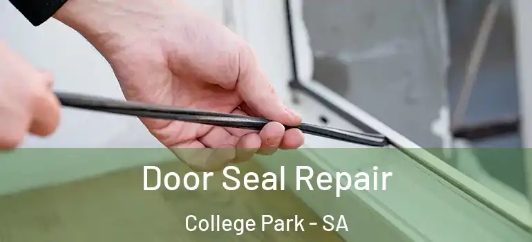 Door Seal Repair College Park - SA