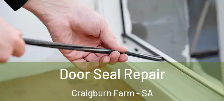 Door Seal Repair Craigburn Farm - SA