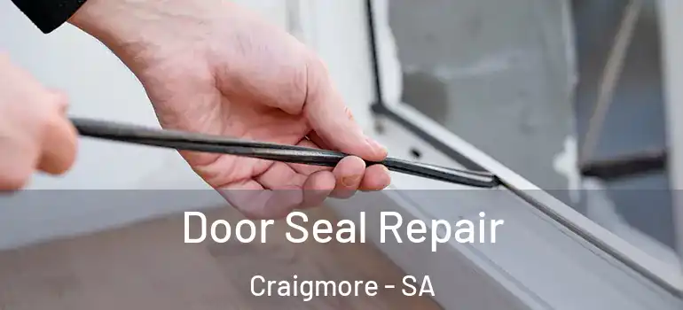 Door Seal Repair Craigmore - SA