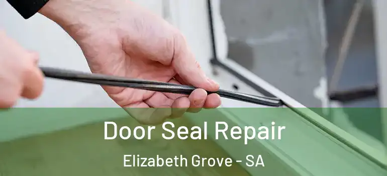  Door Seal Repair Elizabeth Grove - SA