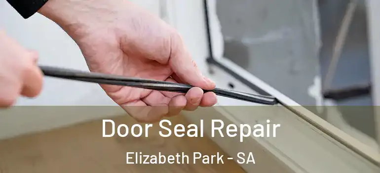 Door Seal Repair Elizabeth Park - SA