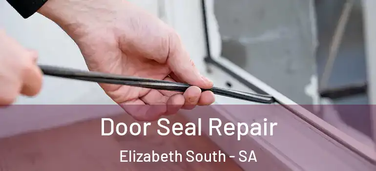 Door Seal Repair Elizabeth South - SA