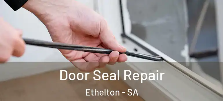 Door Seal Repair Ethelton - SA