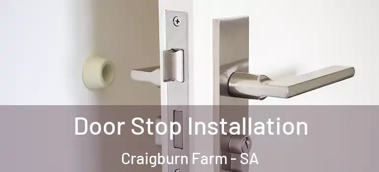 Door Stop Installation Craigburn Farm - SA