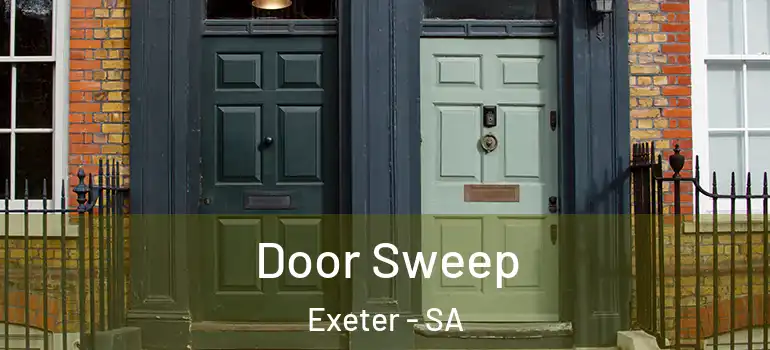  Door Sweep Exeter - SA