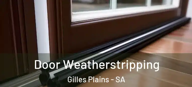 Door Weatherstripping Gilles Plains - SA