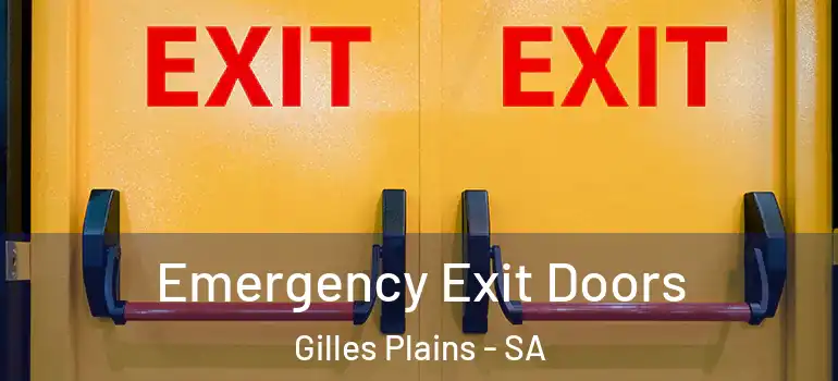 Emergency Exit Doors Gilles Plains - SA