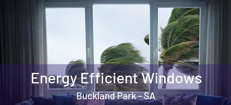 Energy Efficient Windows Buckland Park - SA
