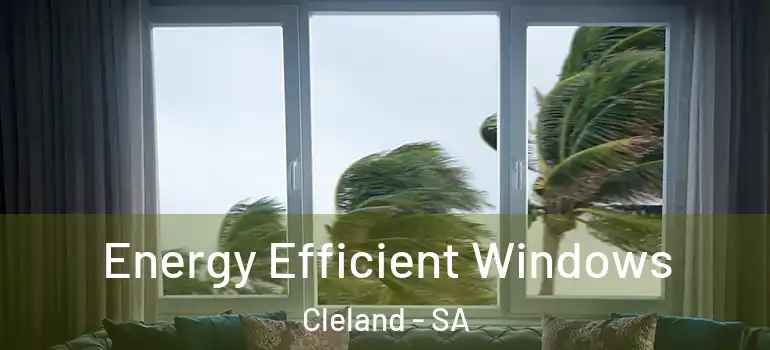  Energy Efficient Windows Cleland - SA
