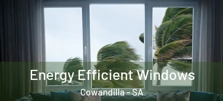 Energy Efficient Windows Cowandilla - SA