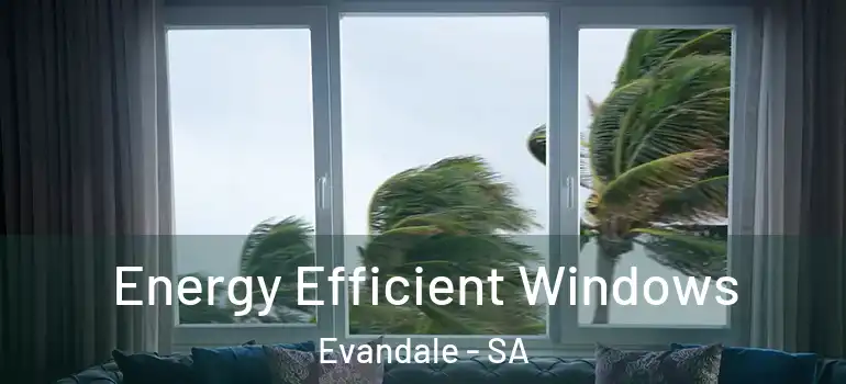 Energy Efficient Windows Evandale - SA