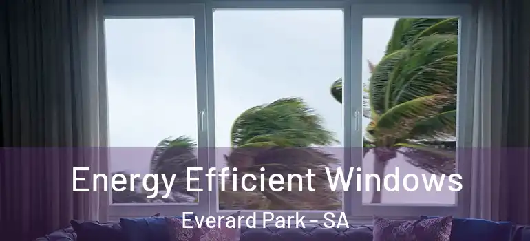 Energy Efficient Windows Everard Park - SA