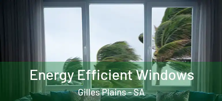  Energy Efficient Windows Gilles Plains - SA