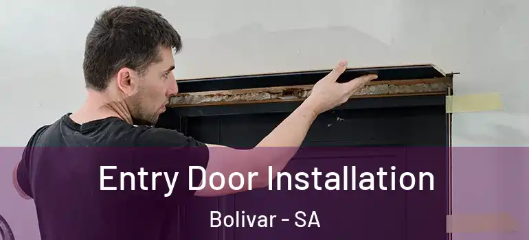  Entry Door Installation Bolivar - SA