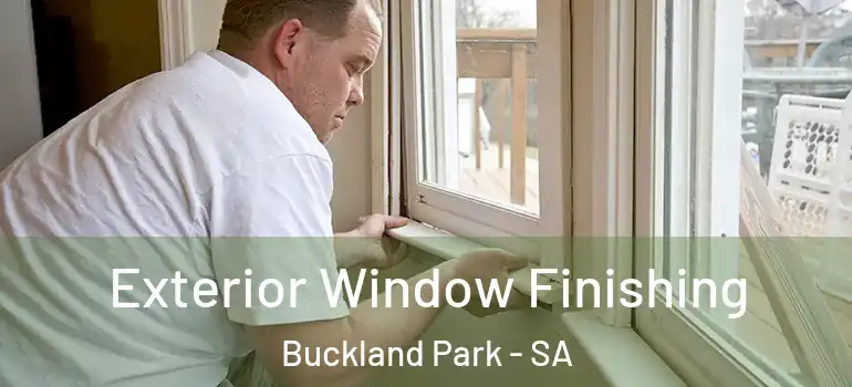 Exterior Window Finishing Buckland Park - SA