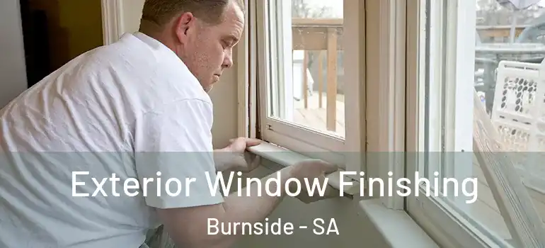  Exterior Window Finishing Burnside - SA